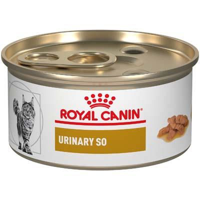 fetch royal canin